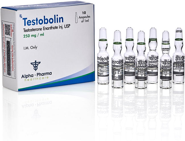 Alpha Pharma | Testobolin | Testosterona Enantato 250 mg