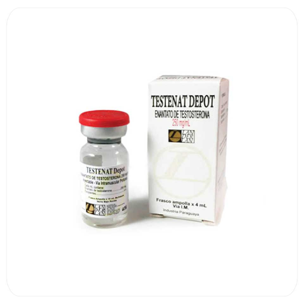 Landerlan | Testosterona Enantato | 250 mg/ml – 4 ml